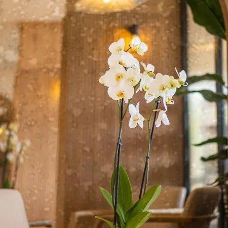 Hotel Heritage By Cimen 3*