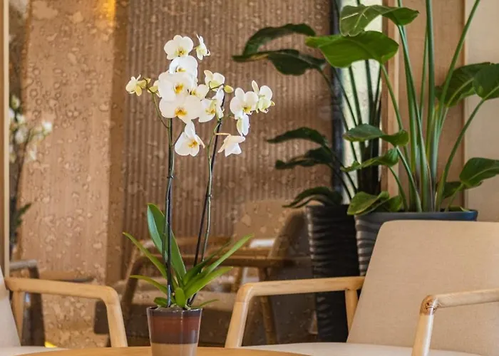 Heritage By Cimen Alanya